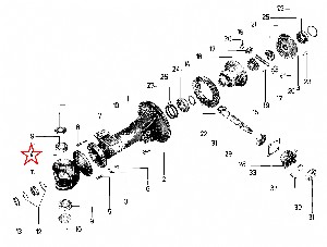 211231301.jpg 211231301.jpg